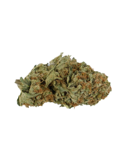 Kolab Florida Haze