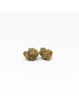 Stewart Farms Daily Grape Lil Buds