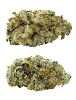 BBOB CombOZ: Pink Kush Mints + Jet Fuel Pie