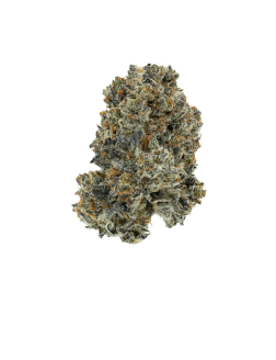 3rd Coast Genetics Pure Michigan