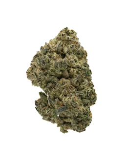 Tommy's Choice Tropicanna Cookies x Wedding Cake