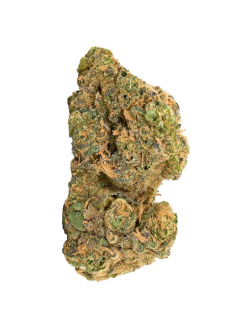 Redecan Purple Churro