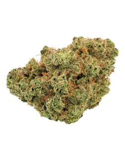 Trailblazer Lemonade Haze