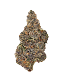 Bud Lafleur Banana Daddy