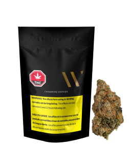WINK Tangerine Cookies