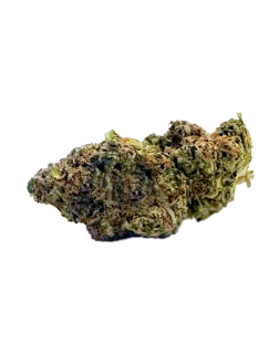 MTL Cannabis East Coast Dank'z