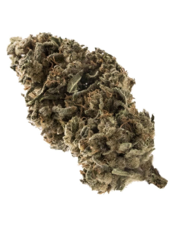 FIGR Coastal Sage 28g