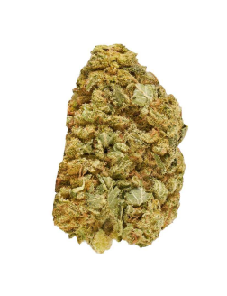 Good Supply Master Mazar Kush 7g