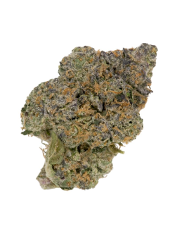 Terroir Kush Tôt