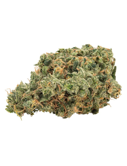 BBOB Ultra Jean-G 7g