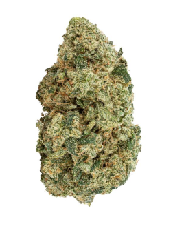 BBOB First Class Funk 28g