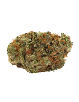 Hiway Slow Lane Indica