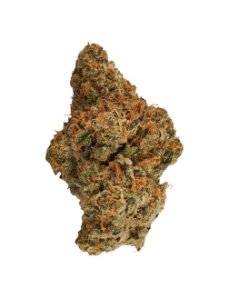 Canaca Headbanger 7g