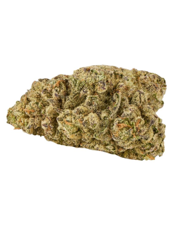 Good Supply God Kush Cross 7g