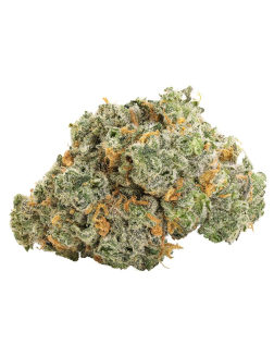 BBOB Blueberry Dream