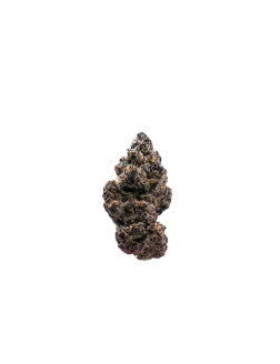 Twigz Halle Berry 28g