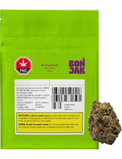 Bon Jak BC Purple Kush