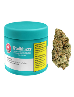Trailblazer Sour Apples 7G