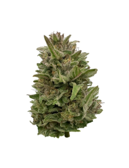 Deelish Pretty Chill Indica 28g