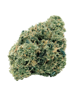 7ACRES Northern OG Kush 7g